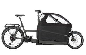 Riese and Muller Packster2 70 Family