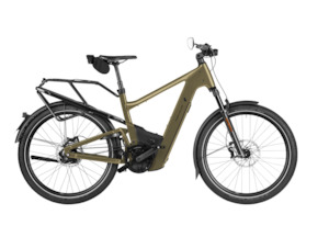 Trail Bikes: Riese and Muller Delite5 Rohloff HS