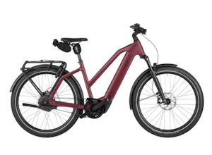 Trail Bikes: Riese and Muller Charger5 Mixte