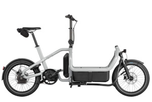 Riese and Muller Carrie2 Automatic