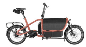 Riese and Muller Carrie2