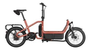 Riese And Muller: Riese and Muller Carrie2 Automatic - Coral