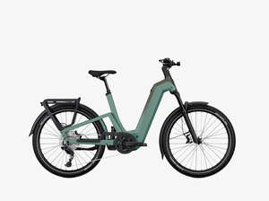 Trail Bikes: Kalkhoff Entice 7+ Move