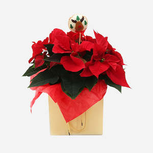 Christmas Flowers: Symbol Of Christmas