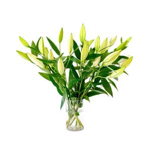 Scented Lilies Bouquet