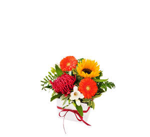 Floral Boxes: Vivid Posy Box