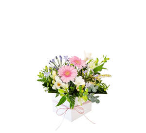 Floral Boxes: Blush Posy Box