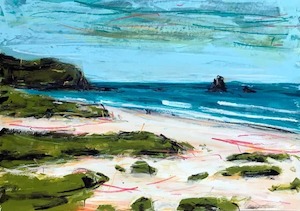 Sandfly Bay (Dunedin) - Christian Nicolson Art