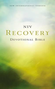 Niv: NIV Bible 2011 Devotional Recovery Paperback by Zondervan. Christian Resource Centre