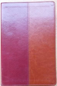 Nlt: NLT Bible Tan and Burgundy Flexitone by BSNZ. Christian Resource Centre