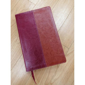 NLT Bible Tan and Burgundy Flexitone by NZBS. Christian Resource Centre
