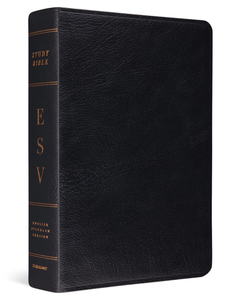 ESV Study Bible, Large Print, Genuine Leather, Black. Christian Resource Centre