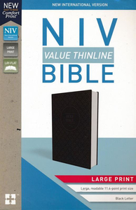 Niv: NIV Value Thinline Bible Large Print Gray and Black, Imitation Leather by Zondervan. Christian Resource Centre