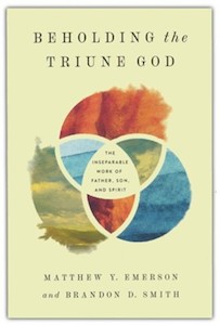 Holy Spirit: Beholding the Triune God: The Inseparable Work of Father, Son, and Spirit