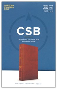 Study: CSB Large Print Personal Size Reference Bible Digital Study Edition burnt sienna leathertouch INDEXED 11.25 point font