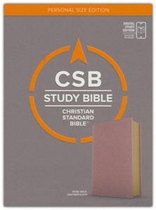 CSB Study Bible Personal Size Digital Study Edition Rose gold leathertouch 8 point font