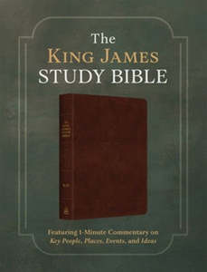 KJV Study Bible Men's cover imitation leather 10.2 point font