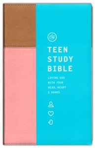 Teens: ESV Teen Study Bible blush/caramel trutone Ages 14-18. 8.5 point font