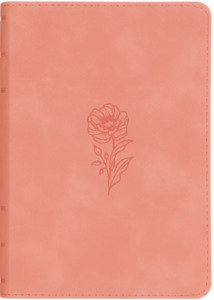 KJV Bible Compact Large Print Pink Faux Leather 10 point font