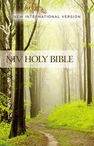 Bibles: NIV Value Outreach Bible Forest Path paperback. New International Version