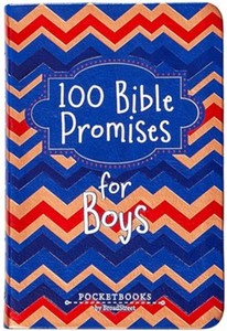 100 Bible Promises for Boys. Ages 4-8