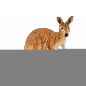 3 4 Years: Schleich Kangaroo