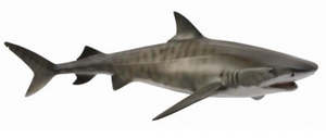 8 11 Years: Collecta Tiger Shark (Yellow)