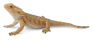 CollectA Bearded Dragon Lizard Figure (Yellow Dot)