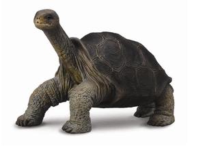 CollectA Pinta Island Tortoise (Lonesome George)