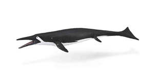 CollectA Shastasaurus