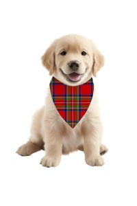 Christmas Pjs: Luxe Bamboo Red Tartan Dog Bandana