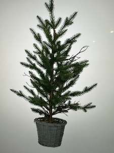 Medium Faux Pine Christmas Tree in willow basket