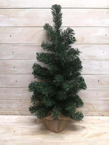 Green Pine Tree with Burlap - 61cm