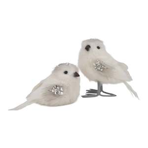 Standing and Sitting Set of Birds