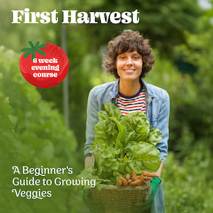 First Harvest - a beginners guide to growing veggies - Canterbury Horticultural Society