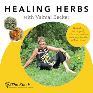 Products: Healing Herbs Demonstration with Valmai Becker - Canterbury Horticultural Society