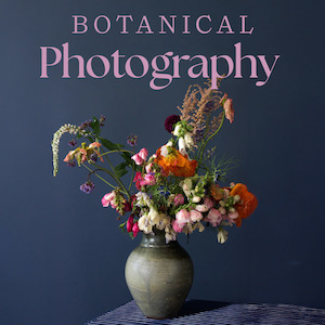 Products: Botanical Photography - Canterbury Horticultural Society