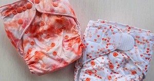 Clever Wee Fox AI2 Pocket Nappy With Velcro Closure