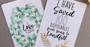 Drea's Cloth Nappy Milestone Cards