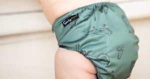 All In Two (AI2) Snap in Nappies: Sassy Pants OSFM Pocket/AI2 (Snap-In) Nappy with Velcro Closure