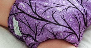 Bear & Moo OSFM Pocket Nappy