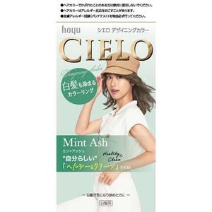 Hair: Cielo Designing Color Mint Ash