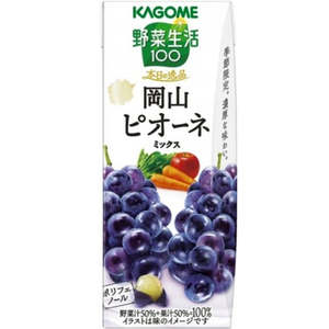 KAGOME Limited Okayama Fruit Mix Juice 195ml
