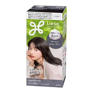 Hair: KAO Liese Foam Hair Color Blue Gray 115ml