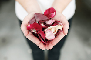 Rose Petals: Natural, Non-Wilting Freeze-Dried Rose Petals for Weddings and Special Moments Church Confetti - Church Confetti Eco-Friendly Freeze-Dried Rose & Hydrangea Petals