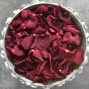 Plum Red Rose Petals
