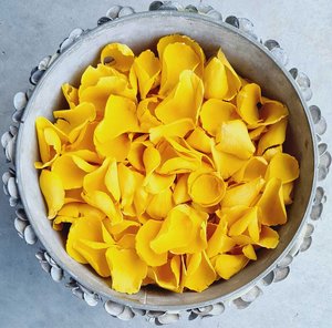 Rose Petals: Yellow Rose Petals