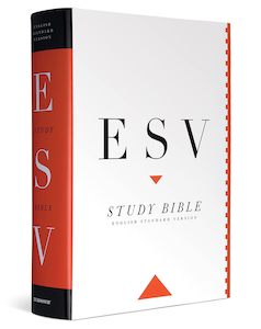 ESV  Bible Study (H/B)