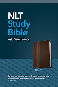 Nlt: NLT  Study Bible Brown/Slate Tutone