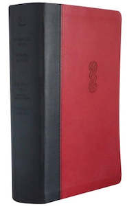 Nsrv: Maori English Bible NRSV - Red
